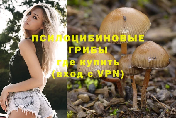 прущая мука Медвежьегорск