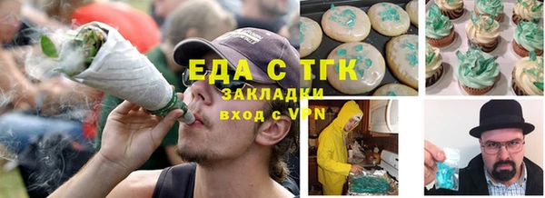 тгк Медногорск