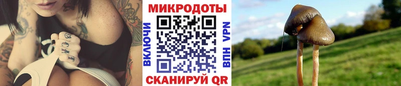 где можно купить   ОМГ ОМГ ONION  Псилоцибиновые грибы Magic Shrooms  Кстово 
