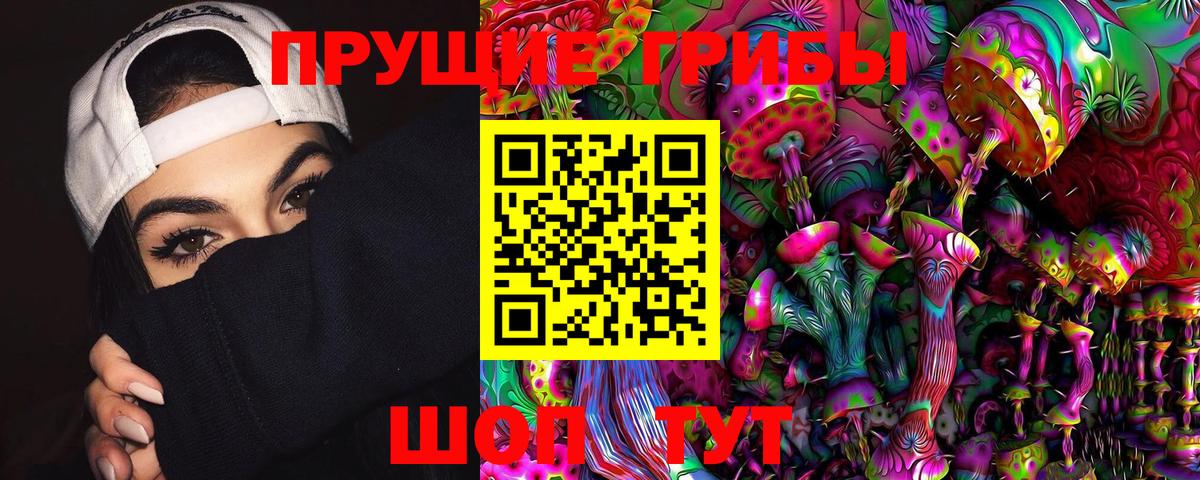 Псилоцибиновые грибы Psilocybe  Псилоцибиновые грибы MAGIC MUSHROOMS  Кстово 